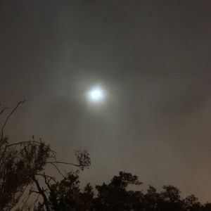 Meet your Posher, Danita